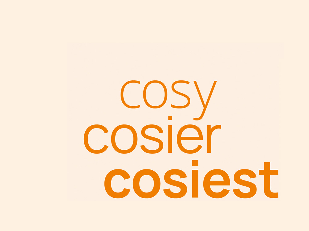 Cosy Font